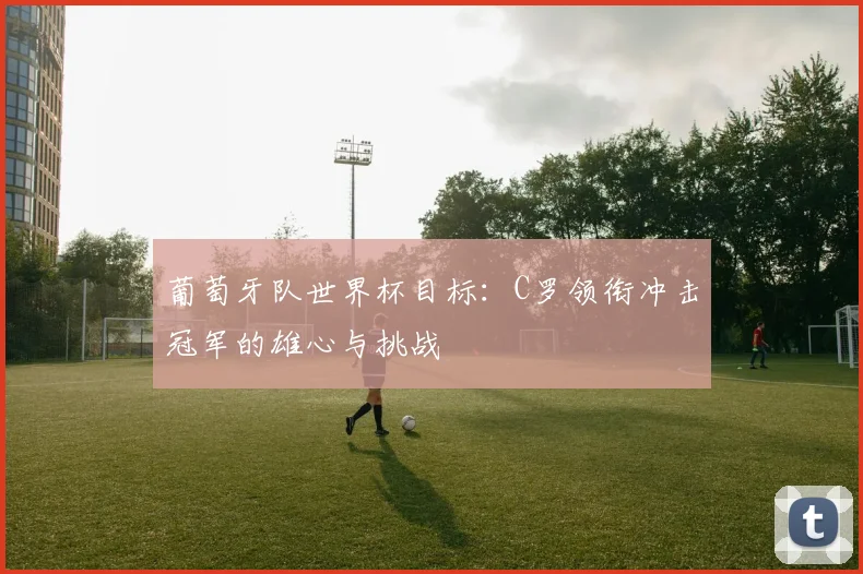 葡萄牙队世界杯目标:C罗领衔冲击冠军的雄心与挑战